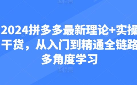 2024 拼多多全新理論與實操干貨，從入門至精通的全鏈路多角度探秘！