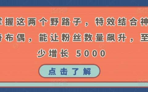 掌握特效與神奇布偶的結(jié)合技巧，粉絲數(shù)量至少增長5000！這些野路子讓你脫穎而出！