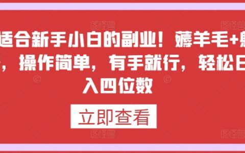【揭秘】新手小白最佳副業(yè)選擇：羊毛黨+躺賺項目，簡單操作，輕松日入四位數(shù)！