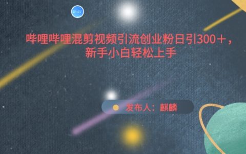 揭秘嗶哩嗶哩混剪視頻引流創業粉日引300+：新手小白輕松上手教程【實操解析】