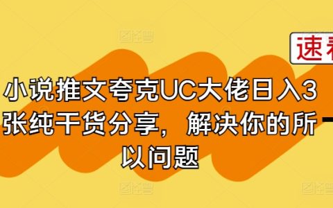 小說推廣教程：跟隨夸克UC大神，日入3張的實操干貨分享，解決你所有難題