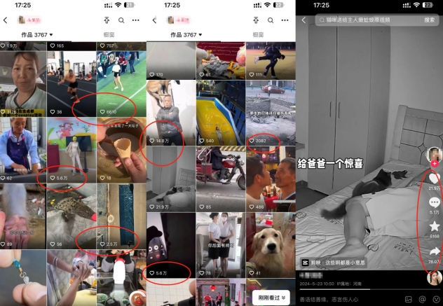 抖音最新雙圖文卡模板搬運技術，安卓蘋果通用，百萬千萬播放嘎嘎爆