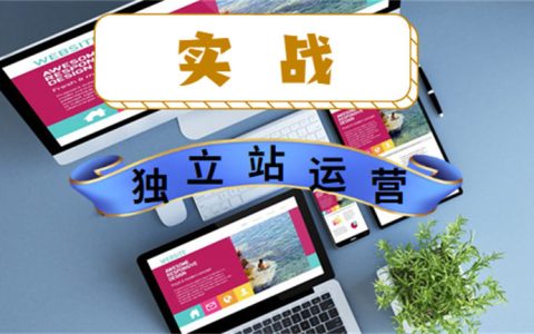 揭秘獨立站運營項目：日IP量1600+，年賺百萬，五個關鍵點讓你輕松上手！
