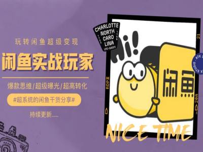 手把手教你0到1系統玩轉閑魚變現,爆款思維/超級曝光/超高轉化