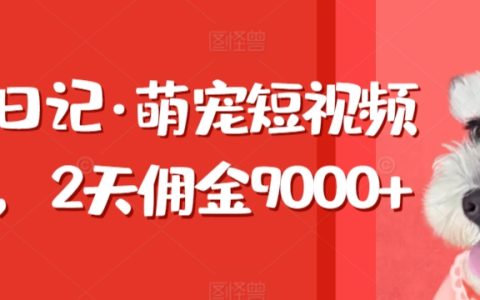 東哲日志：兩天內萌寵短視頻狂攬9000傭金，揭秘帶貨高傭金秘籍
