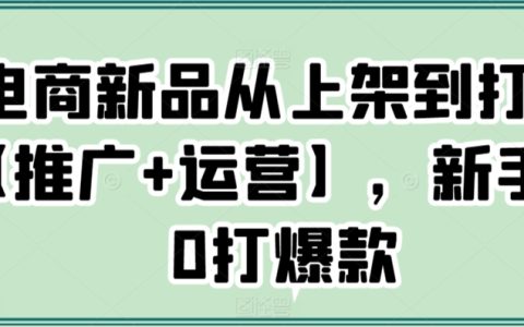 電商新品爆款打造全攻略：推廣與運營技巧，新手輕松實現從零到爆款