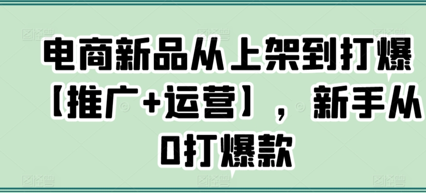 電商新品從上架到打爆【推廣+運營】,新手從0打爆款