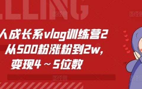 個人成長Vlog實戰(zhàn)營第2期：500粉絲到2萬粉絲攻略，實現(xiàn)月入數(shù)千元變現(xiàn)秘籍