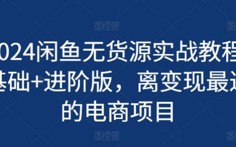 2024年閑魚無貨源操作手冊：從入門到精通，輕松實現電商盈利新路徑