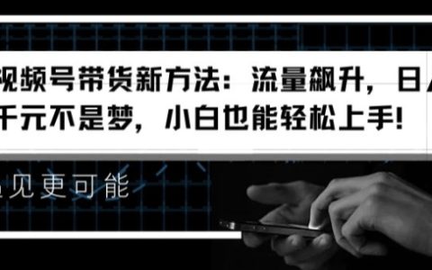 視頻號帶貨新攻略：流量激增，日賺千余不再是難題，新手快速入門【獨家揭秘】
