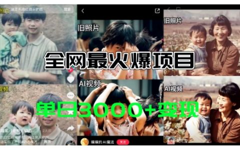 揭秘AI黑科技，一秒將老照片變動畫，輕松實現日賺3k+，超全免費工具包助你快速上手