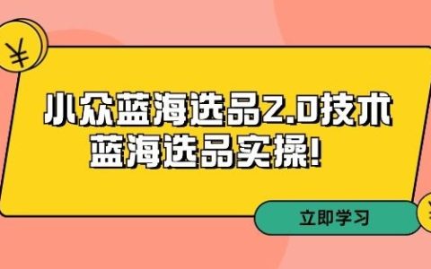 拼多多精選課程第33期：深度解析小眾藍海2.0選品技巧 - 藍海市場實戰攻略！