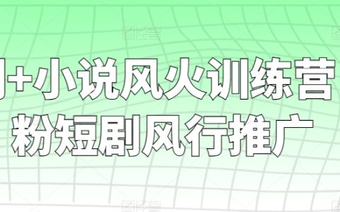 零粉絲起步，短劇小說(shuō)風(fēng)華訓(xùn)練營(yíng)——快速走紅推廣策略全解
