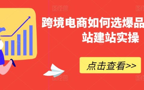 跨境電商爆品精選秘籍及獨立站建站實戰指南
