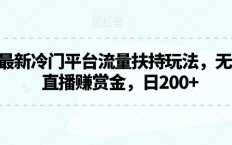 2024年度冷門直播平臺流量紅利攻略，自動游戲直播輕松賺賞金，每日收益超200【深度解析】