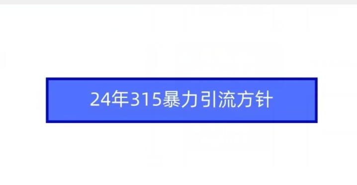 24年315暴力引流方針