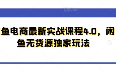 閑魚電商實戰4.0：揭秘獨家無貨源運營策略，打造高效電商盈利新模式