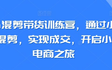 小紅書剪輯帶貨實操班：學會搬運與混剪，達成銷售，開啟小紅書電商新征程