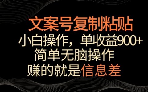 復制粘貼文案盈利術：新手小白輕松上手，單個作品賺取900+