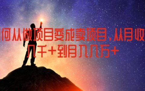 項目轉(zhuǎn)型指南：如何從做項目變成賣項目，月收入從幾千躍升至幾萬的成功秘訣