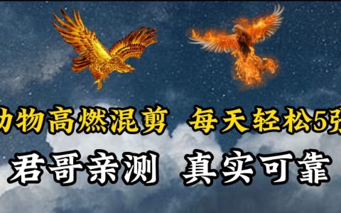 揭秘動物混剪技巧：每日輕松制作5張視頻，簡單剪輯吸引觀眾【高效方法】