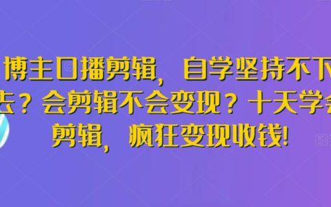 口播剪輯達人速成：告別自學困擾，十天精通剪輯技巧，實現快速變現盈利【實戰教程】