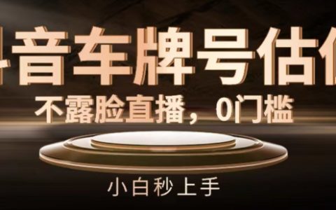 揭秘抖音車牌號估值直播：無需露臉，零門檻，新手輕松掌握技巧