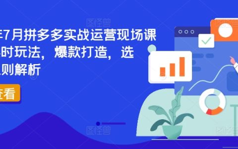 2024 年7月拼多多實(shí)戰(zhàn)運(yùn)營特訓(xùn)：最新玩法、爆款塑造、精準(zhǔn)選品與規(guī)則詳解