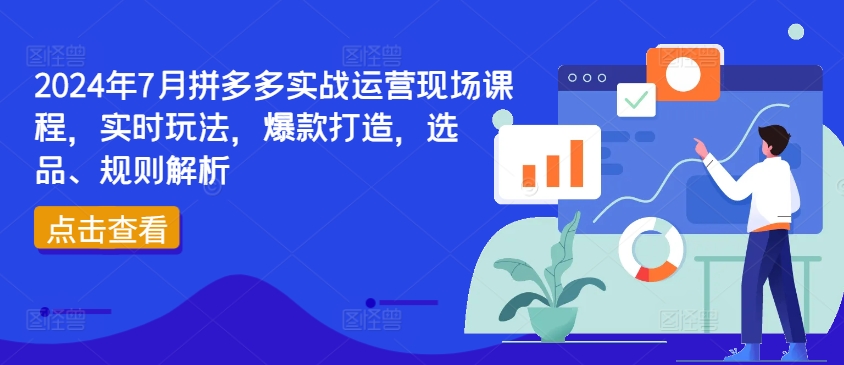 2024年7月拼多多實戰運營現場課程,實時玩法,爆款打造,選品、規則解析