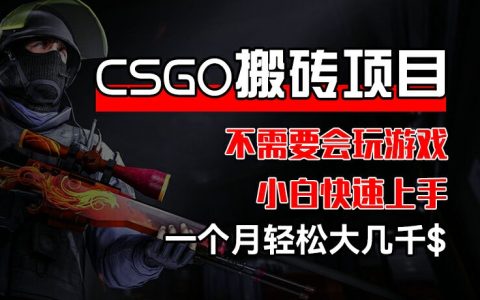 CSGO裝備搬磚項(xiàng)目揭秘：小白也能快速上手，一個(gè)月輕松賺取大幾千