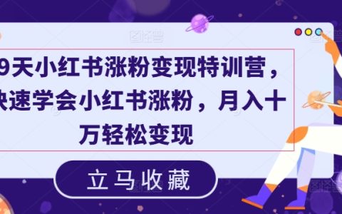 19天小紅書粉絲增長與變現(xiàn)特訓(xùn)班，高效學(xué)習(xí)漲粉技巧，月入十萬不是夢