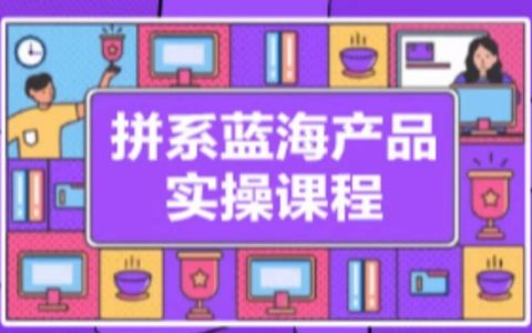 拼多多冷門藍海產品實戰課程，從開店注冊到選品上架到流量管理一站式教學【深度剖析】