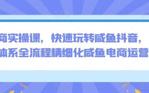 電商實(shí)戰(zhàn)課程，精通咸魚(yú)與抖音，全面體系化流程精細(xì)化操作，咸魚(yú)電商運(yùn)營(yíng)攻略【專(zhuān)業(yè)指導(dǎo)】