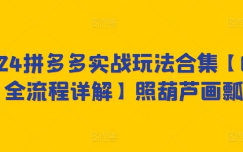 2024拼多多運(yùn)營實(shí)戰(zhàn)攻略，從零到一全程解析【照貓畫虎技巧揭秘】