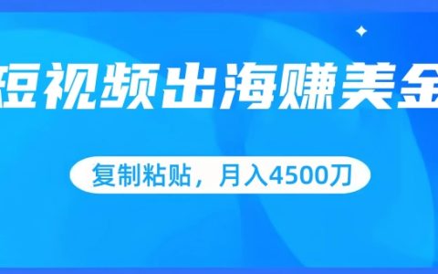 短視頻跨境盈利揭秘：復制粘貼技巧，批量操作指南，助力小白月入4500美元