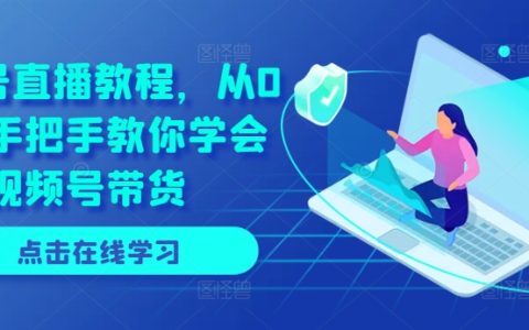 視頻號直播帶貨入門教程：零基礎(chǔ)到精通，手把手教你實(shí)現(xiàn)帶貨變現(xiàn)