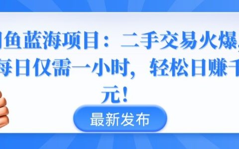 閑魚高盈利藍(lán)海戰(zhàn)術(shù)：二手市場(chǎng)新機(jī)遇，一小時(shí)輕松賺錢千