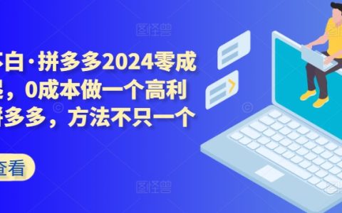 2024拼多多零成本玩法揭秘：輕松開(kāi)啟高利潤(rùn)店鋪，多種盈利方法分享