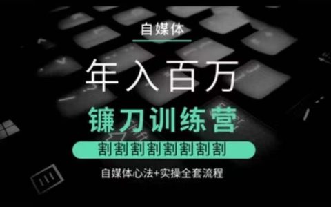 百萬級收入自媒體實戰營：深度解析鐮刀策略，涵蓋核心心法與完整實操教程