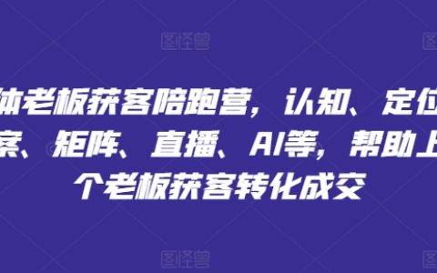 萬位老板實戰陪跑計劃：深度解析認知策略、精準定位、高效文案、營銷矩陣、直播營銷、AI賦能，助力老板高效獲客轉化成交