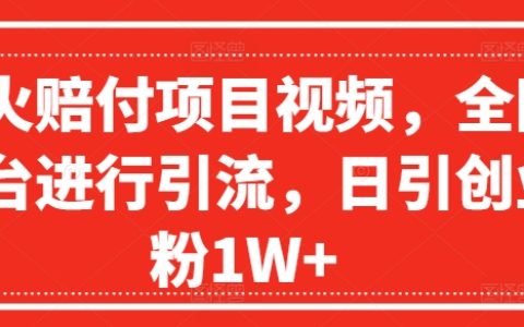 賠付項目視頻爆紅策略，多平臺引流技巧解析，每日引流創業粉高達1W+