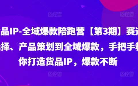 貨品IP全域爆款陪跑營【第3期】賽道選擇、產品策劃到全域爆款，手把手教你打造貨品IP，爆款不斷