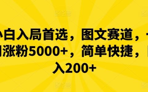 新手快速上手圖文運(yùn)營攻略，一周粉絲破5000，操作簡便，日收益超200+
