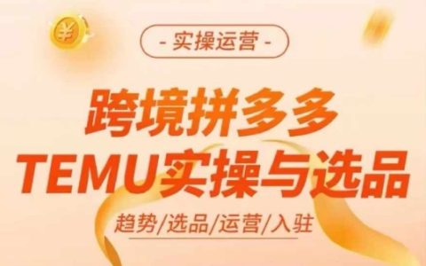 深度解析TEMU跨境電商實戰，拼多多國際版選品與運營技巧全揭秘