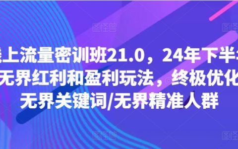 2024下半年線上流量增長策略特訓：無邊界紅利與盈利模式揭秘，深度優(yōu)化技巧、關鍵詞優(yōu)化與精準用戶群構建