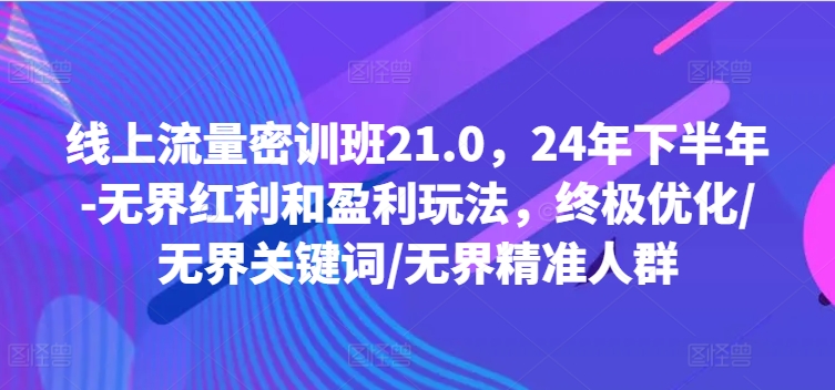 線上流量密訓班21.0，24年下半年-無界紅利和盈利玩法，終極優化/無界關鍵詞/無界精準人群