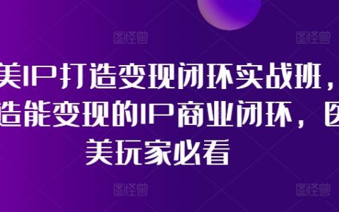 醫美領域IP構建與變現策略實戰課程，構建高效IP商業閉環，醫美行業從業者必學指南