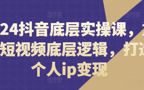 2024全新抖音實(shí)戰(zhàn)教程：重構(gòu)短視頻核心法則，助力打造個(gè)人IP實(shí)現(xiàn)盈利