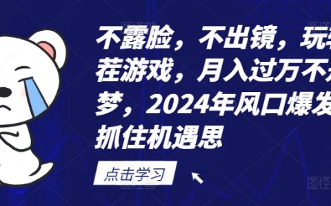 2024年找茬游戲新趨勢：非出鏡玩法，輕松月入萬元，抓住行業爆發機遇【深度解析】