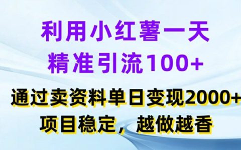 揭秘小紅書引流技巧：單日精準吸引100+用戶，銷售項目日賺2K+，打造穩定高收益內容營銷策略